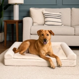 Paw.com Review: Premium Dog Beds, Waterproof Blankets & Pet Comfort Products Worth Considering